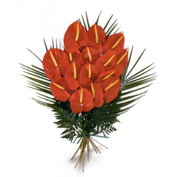 Les jetés d'Anthuriums