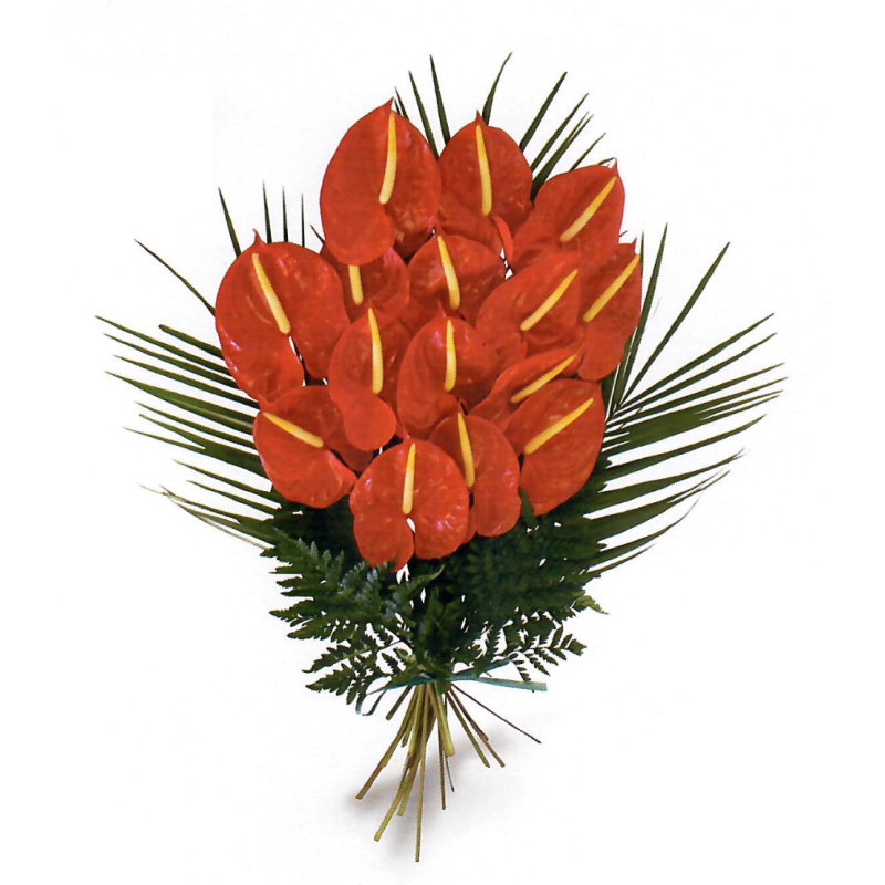 Les jetés d'Anthuriums